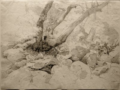 Gnarled Tree Trunk on Rocks by Ernst Fries